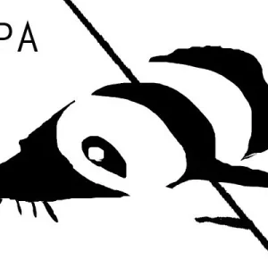 IPA
