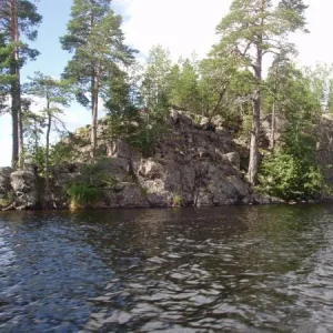 P1010208