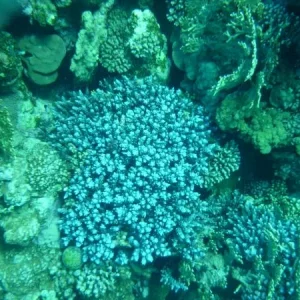 P1000469