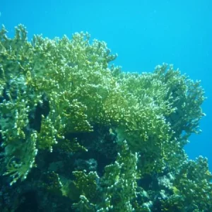 P1000483