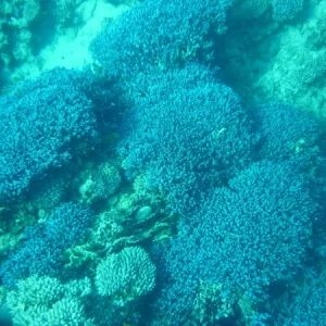 P1000487