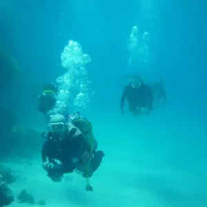 P1000550