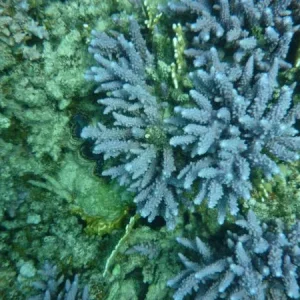 P1000618