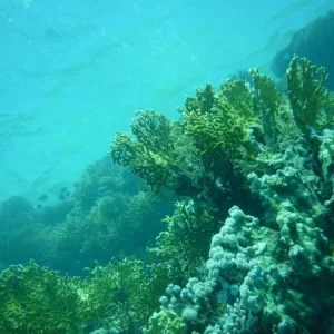 P1000633