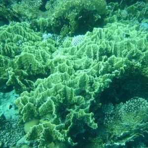 P1000756