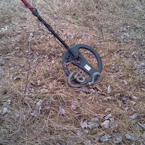 IMAG0040