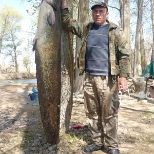 195 см.