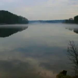 [No title]