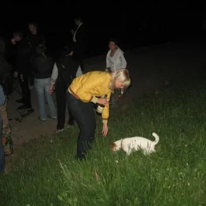 IMG 1874