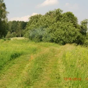 CIMG0330