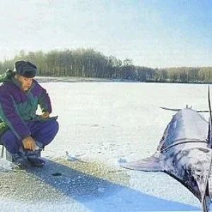 Трофей
