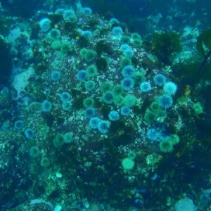 2010