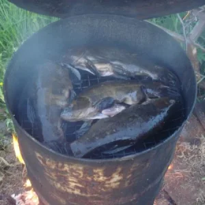 ЛИНКИ