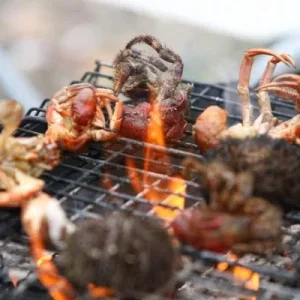 Раки отшельники и ежи морские