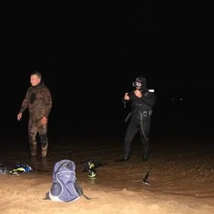 Последние проверки