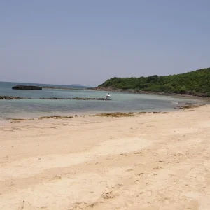 P4200860