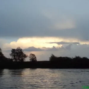 DSC00742