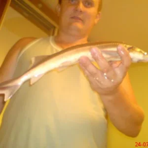 DSC00231