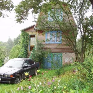 курятник