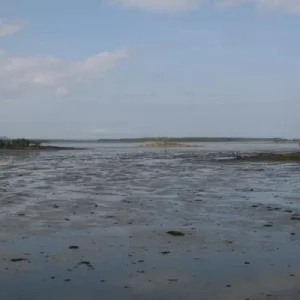 отлив