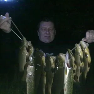 А так она БОЛЬШЕ!