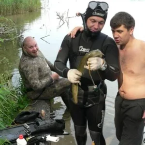 Теория всегда присутствует)