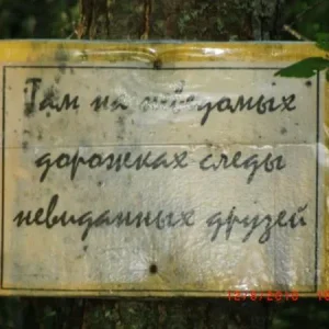 CIMG0449