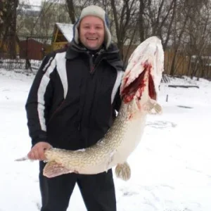 крокодайл Московский )))