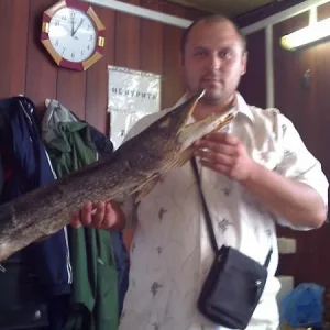 До усушки была на 7,5кг.