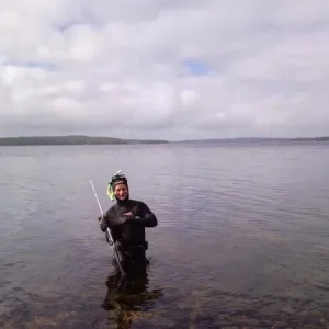 Первая зубатка
