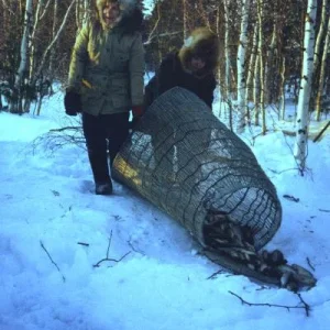 Рыбачки