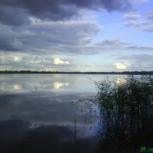 DSC02012