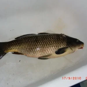 CIMG0561