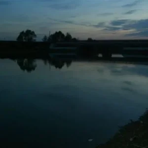 ночнуха...