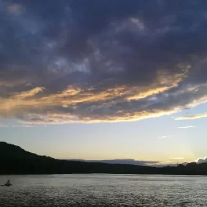 03092010086 001