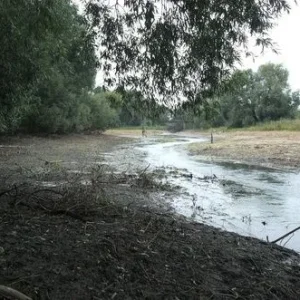 Сломалась заслонка на плотине и речка кончилась