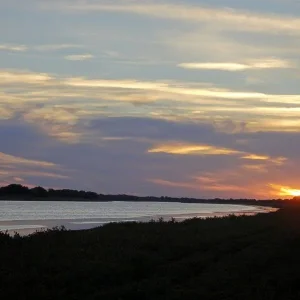 DSC00904