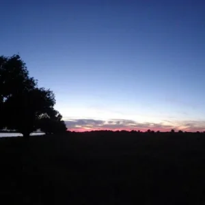 DSC00911