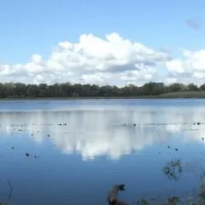 Клёво.