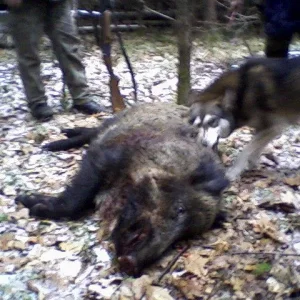 Photo 0041