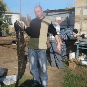 Сомик