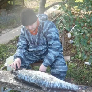 Чистка трофеев