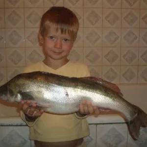 3кг