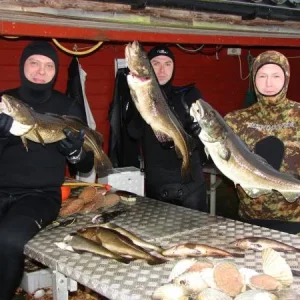 Рыбки