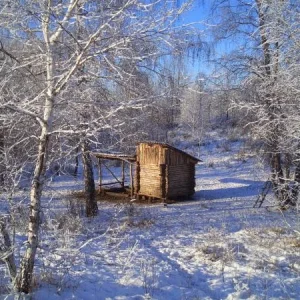 кабаний общепит