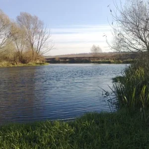 231020101377