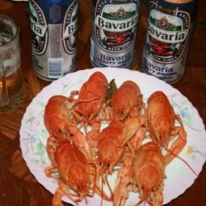x 92c8de59
