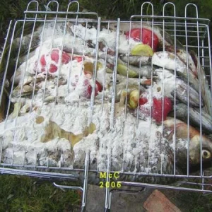 нн78