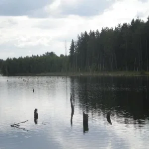 Хорошее озеро с отличной рыбой и херовеньким прозраком.