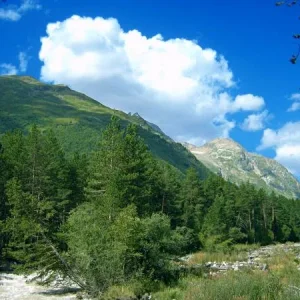 горная река